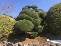 Park am Ashi-See