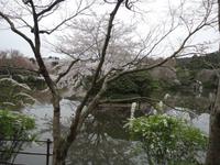 Park im Ryoanji
