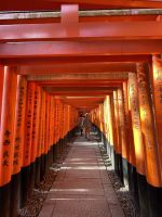 Schrein der 1000 Tore - Fushimi Inari Taisha