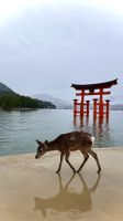 Setonaikai National Park, Hatsukaichi, Hiroshima, Japan