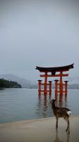 Setonaikai National Park, Hatsukaichi, Hiroshima, Japan