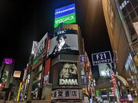 Shibuya Kreuzung