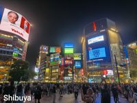Shibuya Kreuzung