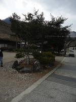Shirakawa-go