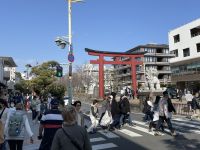 Spaziergang durch Hakone