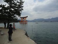 Tôri auf Miyajima