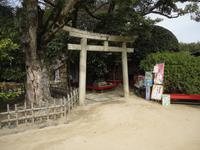 Tôri im Wandelgarten in Okayama