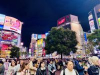 Tag 3 - Shibuya-Kreuzung