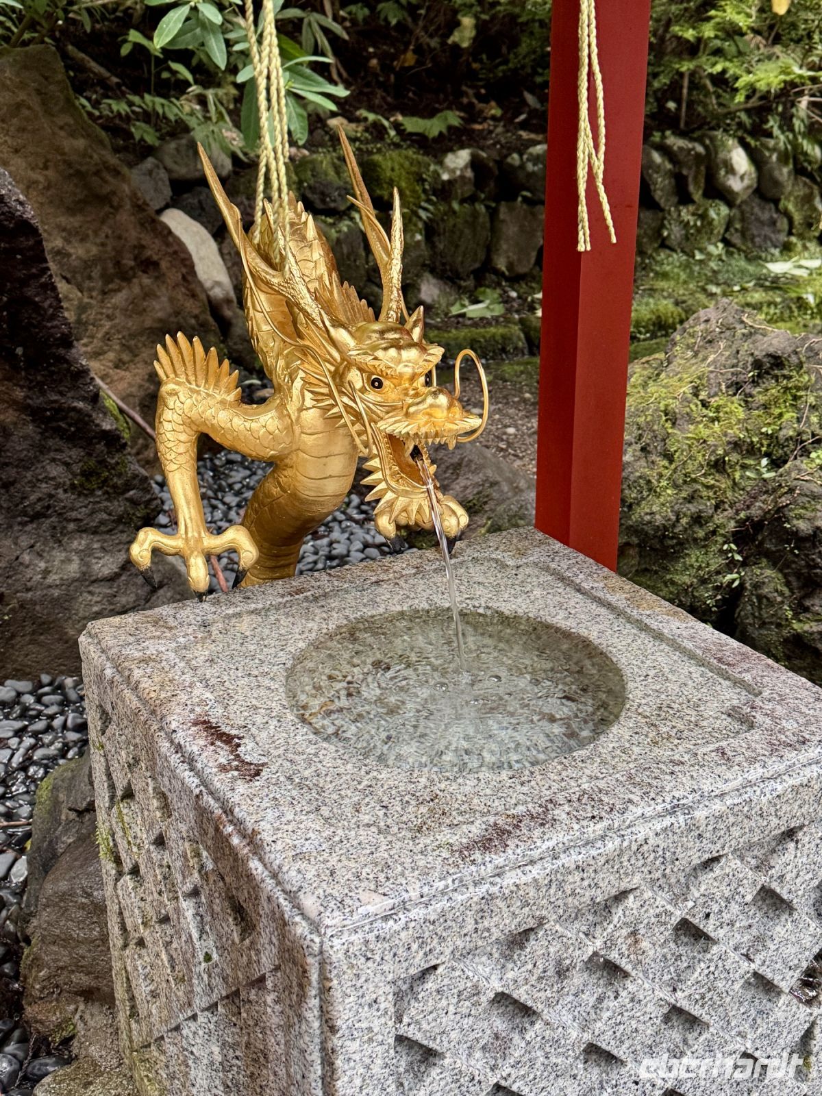 Tag 4 - Drachen