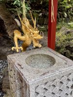 Tag 4 - Drachen