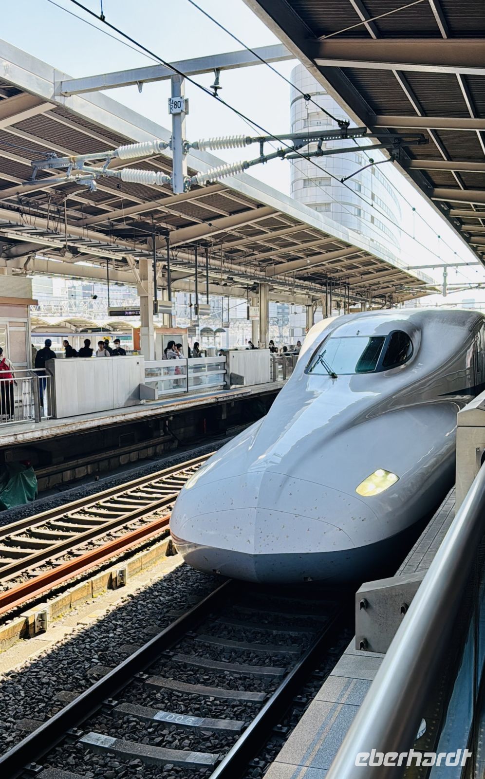 Tag 8 - Shinkansen 