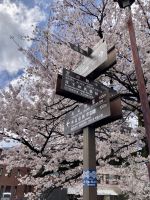 Takayama