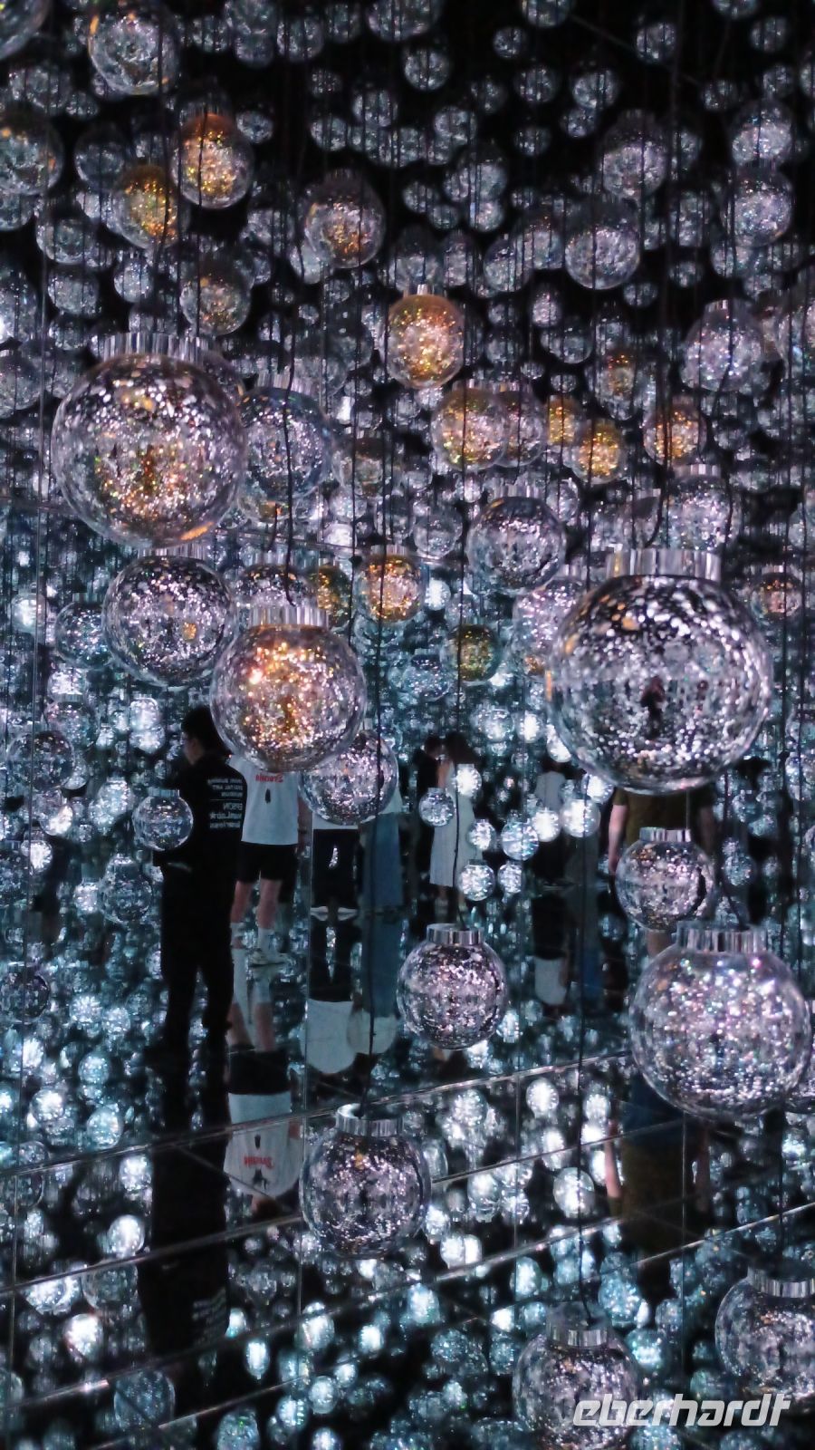 TeamLab Borderless 