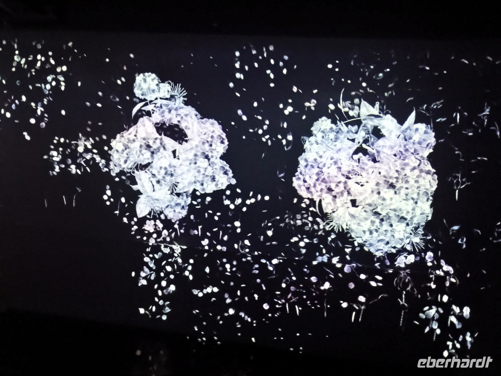 TeamLab Borderless 