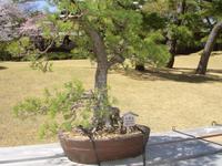 ToKio - Happoen Garten 