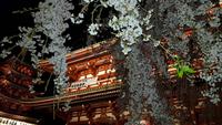 Tokyo - Asakusa-Kannon-Tempel am Abend