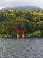 Tori Ashi See 