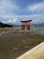 Tori des Itsukushima Schrein