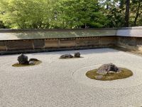 Zen-Garten Ryonaji-Tempel