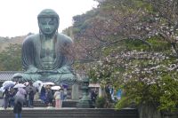 die große Bronze-Buddhastatue von Kamakura, der Kamakura Daibutsu