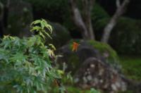 japanischer Herbst
