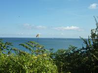 Bilck nach Frankreich