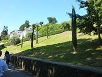 auf unserer Gartentour