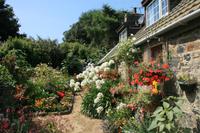 Garten auf Sark