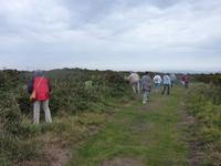 beim Brombeeren naschen