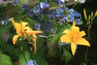 Garten von Lady Guthrie