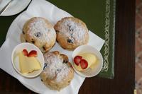 Jersey Cream Tea