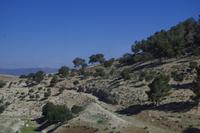 Ausflug in den grünen Norden