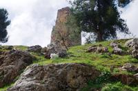 Ajlun - Festung Qalaat ar-Rabad