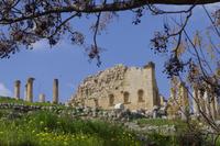 Frühling in Jerash
