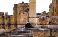 Jerash - Rundgang durch die antike Stadt