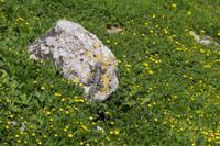 Jerash - Rundgang durch die antike Stadt
