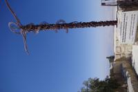 Berg Nebo - Kreuz mit der kupfernen Schlange