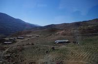Auf der Königsstraße zwischen Madaba und Kerak - Beduinendorf