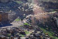 Unterwegs in Jordanien