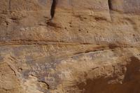 Wadi Rum - alte Felszeichnungen