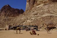 Unterwegs im Wadi Rum