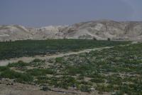 Unterwegs zum Toten Meer