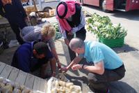 Unterwegs  - Kartoffelkauf