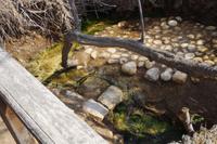 Quelle von Johannes dem Täufer