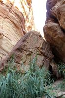 135 – Petra
