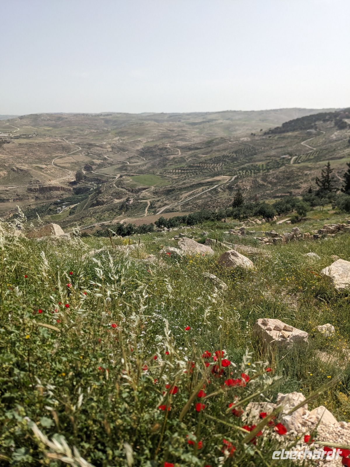 16.5 Berg Nebo