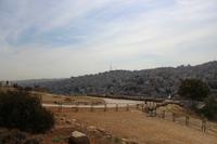 013 – Amman, Zitadelle