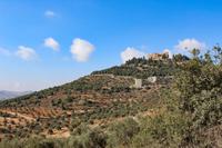 053 – Ajlun, Festung