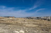 075 – Jerash