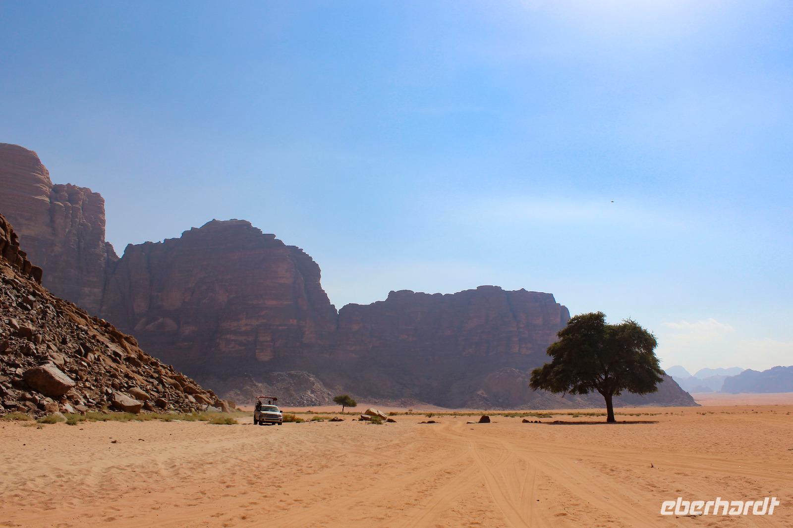 245 – Wadi Rum